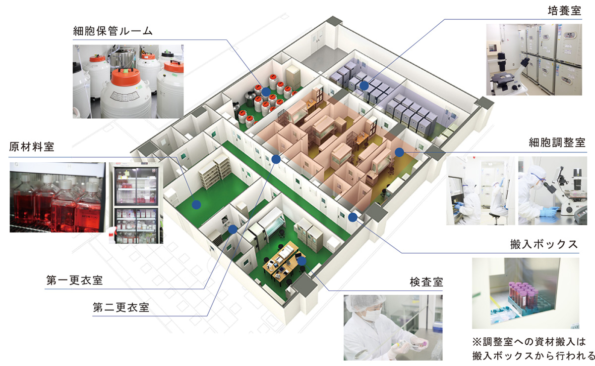 セルバンク施設の詳細