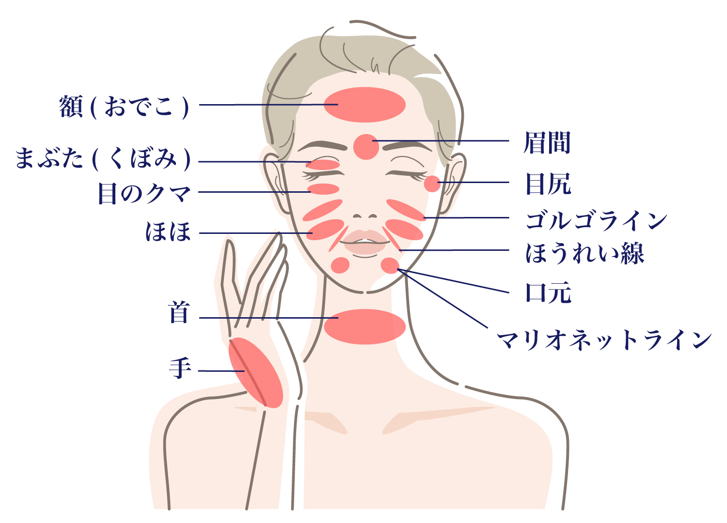 再生医療（セルバンク）施術箇所