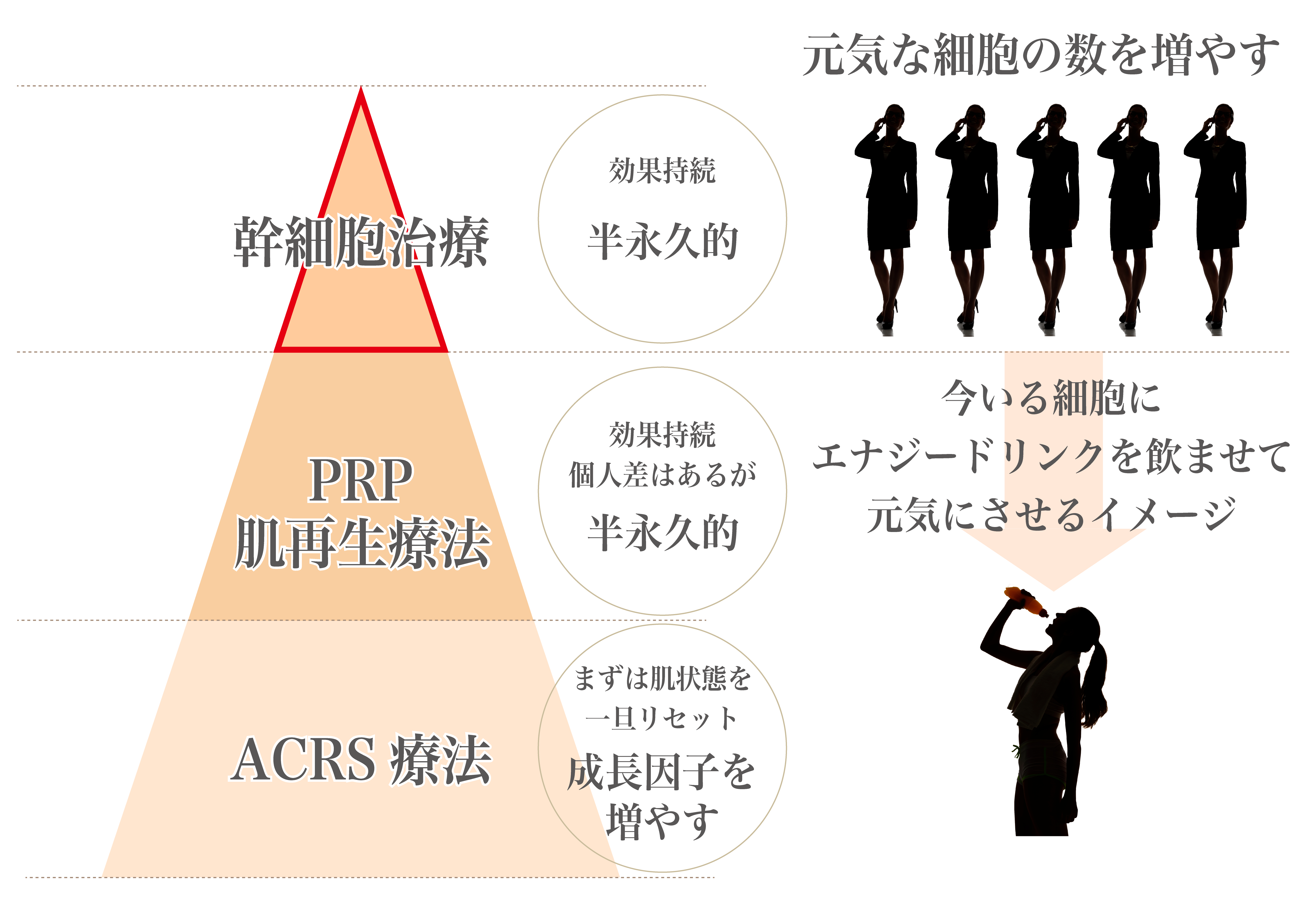 肌の幹細胞治療の位置づけ