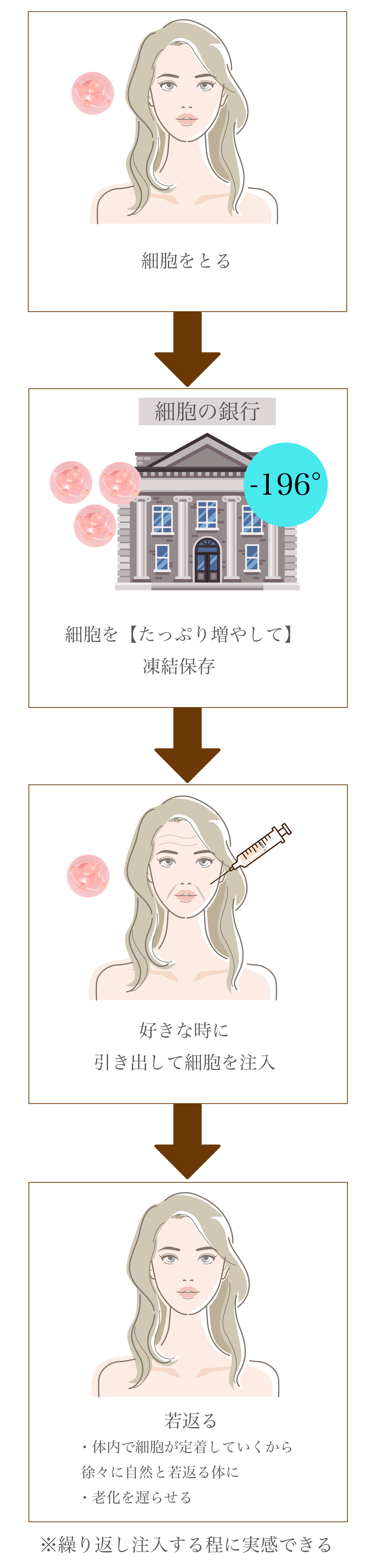 再生医療の仕組み