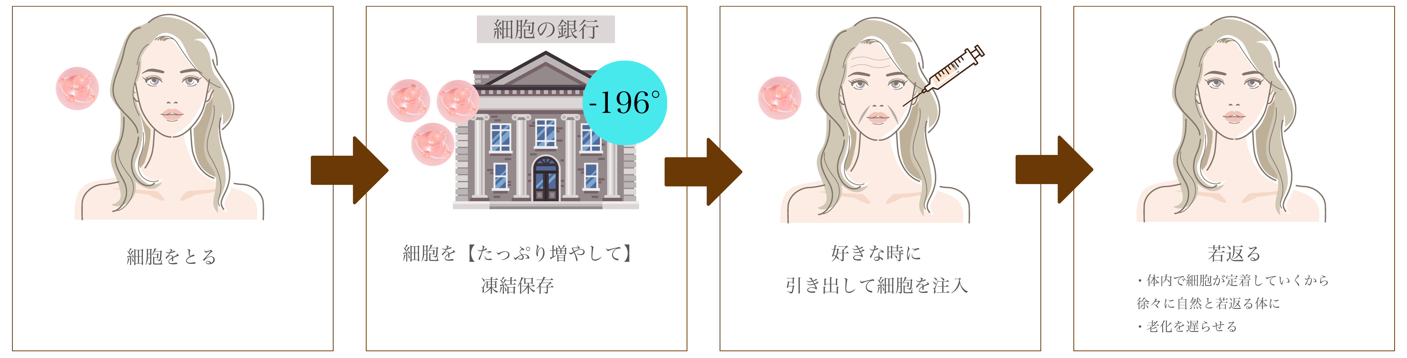 再生医療の流れ