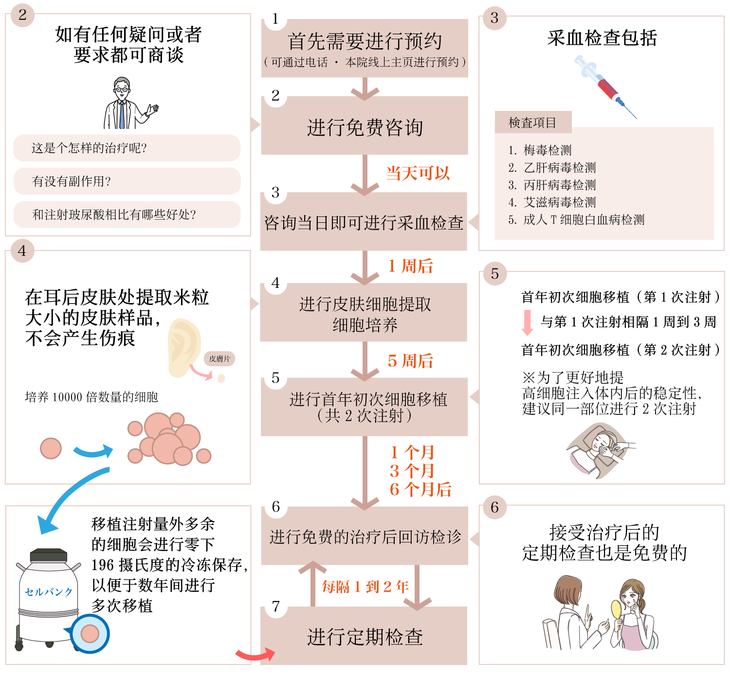 再生医療の流れ