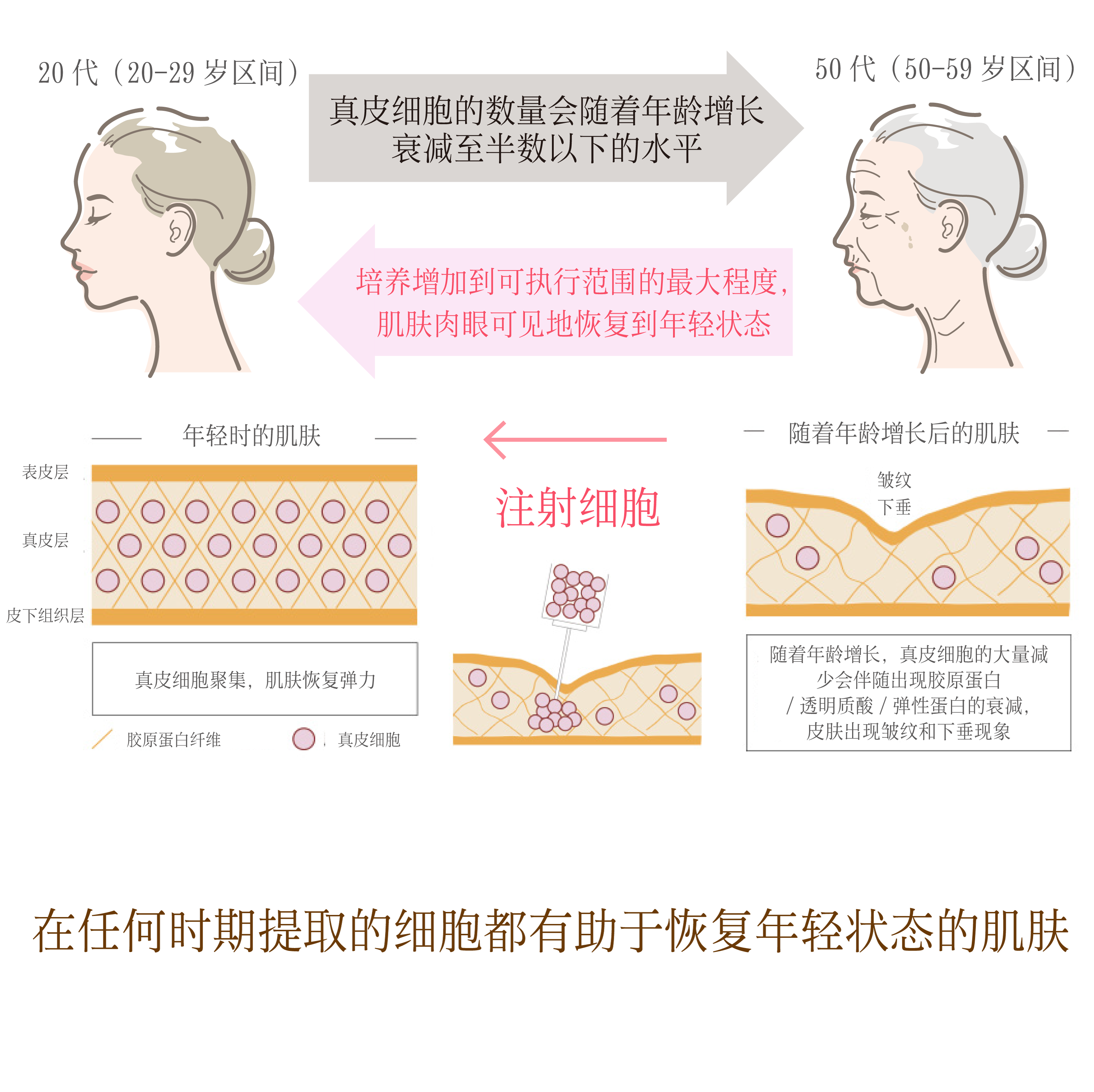 若返る仕組み