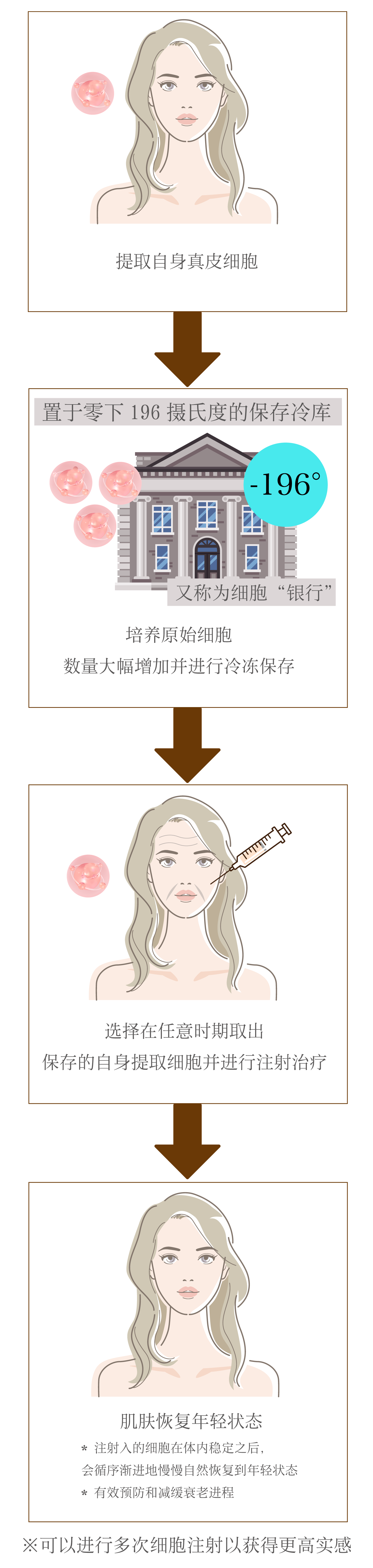 再生医療の流れ
