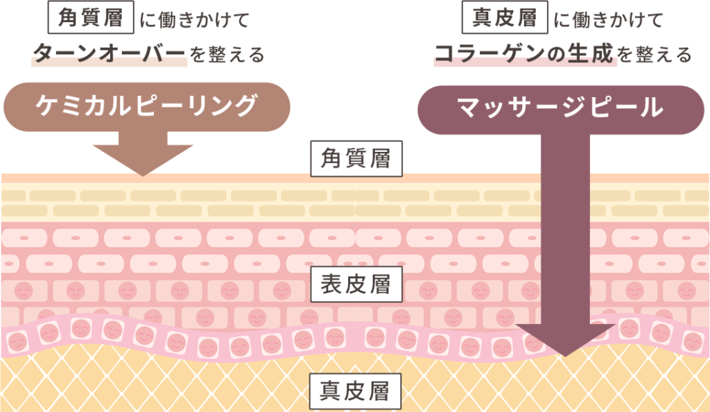 ケミカルピーリングとマッサージピールの働きかける層