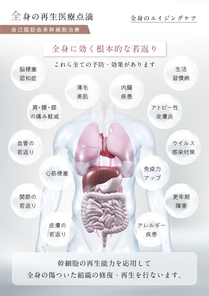幹細胞の再生能力を応用して、全身の傷ついた組織の修復・再生を行います。