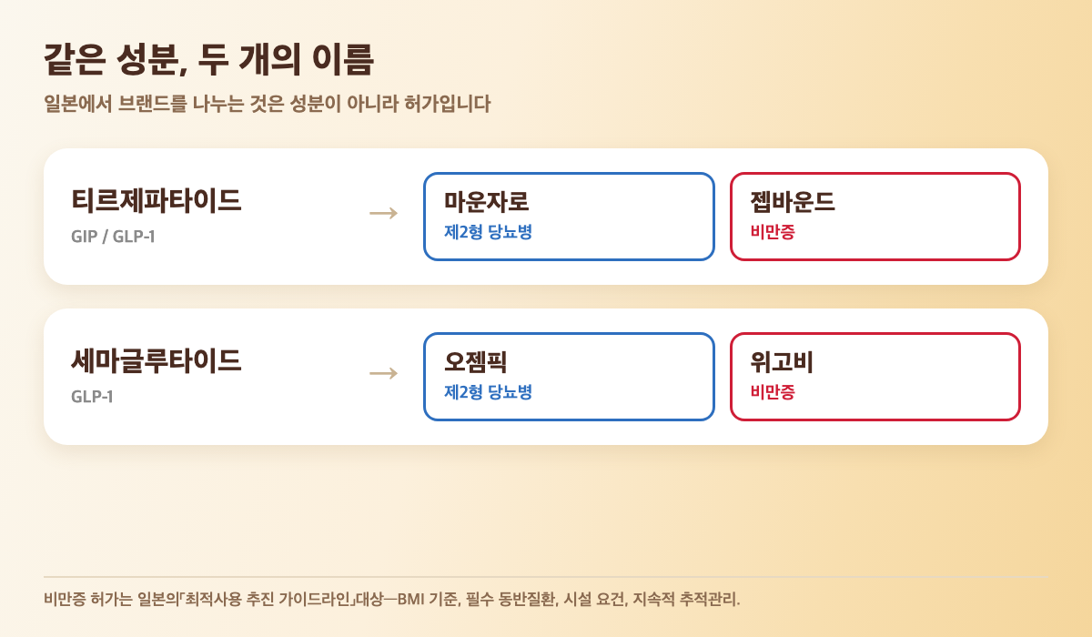 일본에서 티르제파타이드는 마운자로(제2형 당뇨병)와 젭바운드(비만증)로, 세마글루타이드는 오젬픽과 위고비로 판매된다