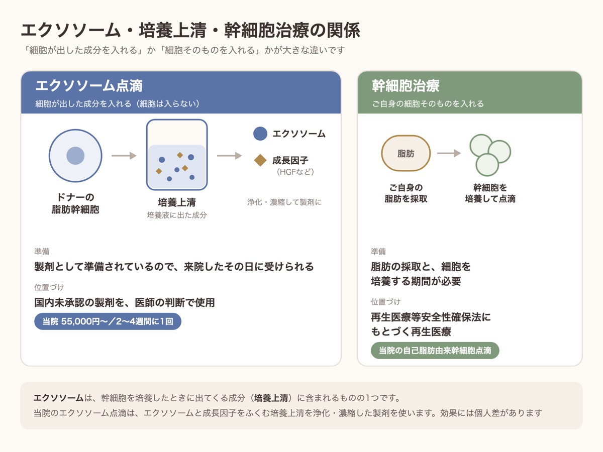 エクソソーム点滴(培養上清)と幹細胞治療の違い