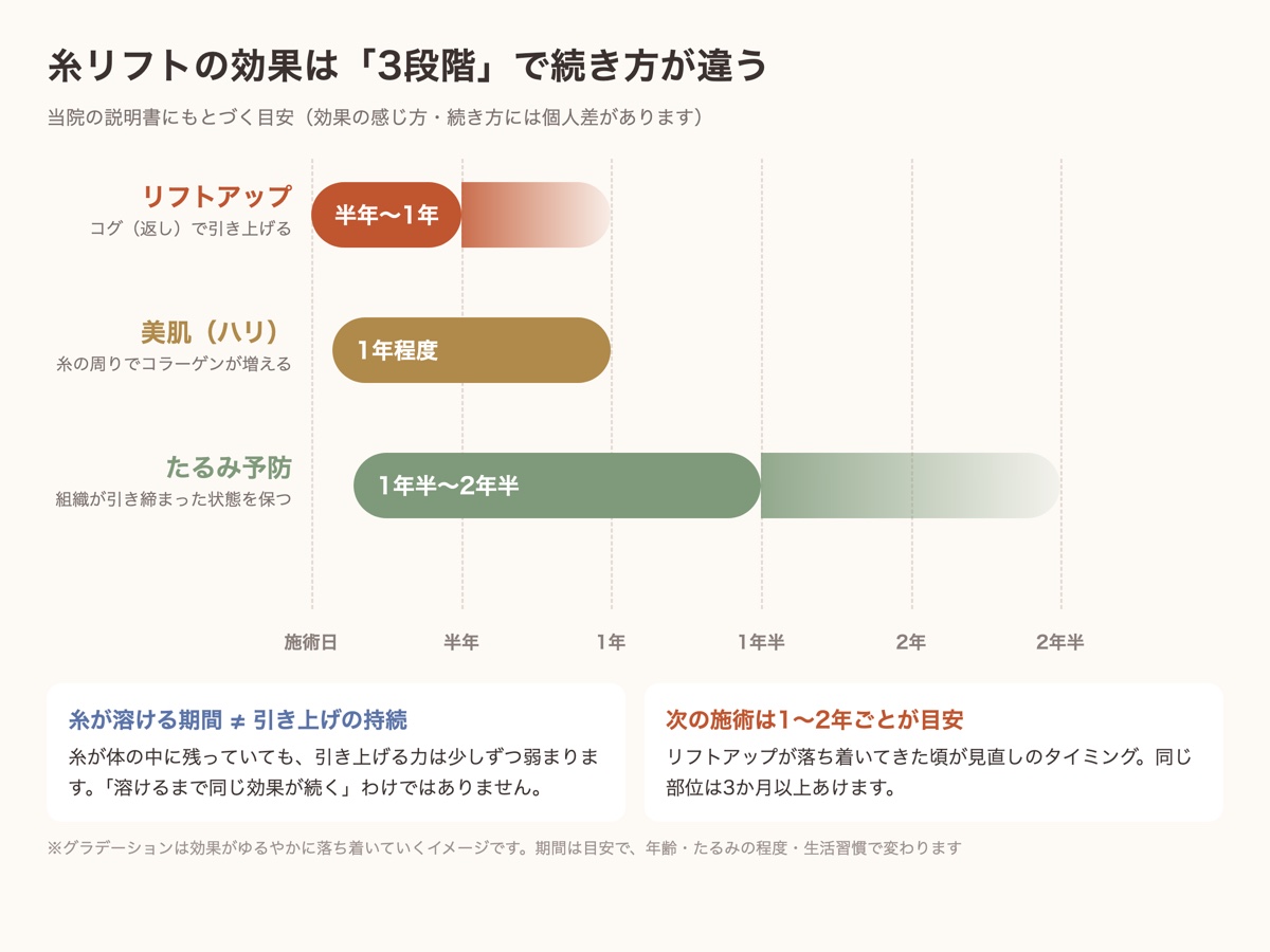 糸リフトの効果の3段階の持続目安(リフトアップ半年〜1年・美肌1年・たるみ予防1年半〜2年半)