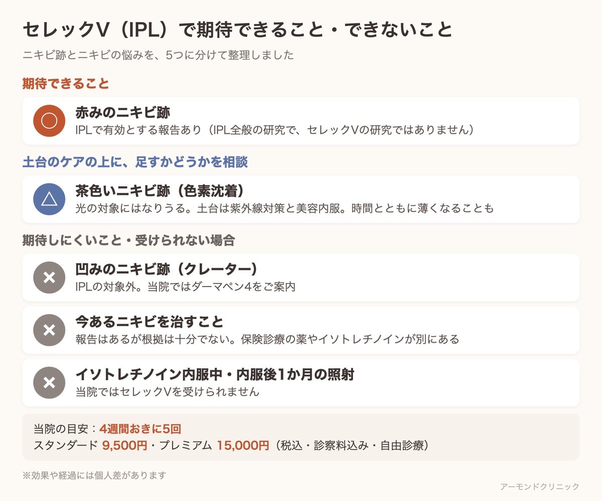 セレックV(IPL)でニキビ跡に期待できること・期待しにくいこと・受けられない場合の一覧