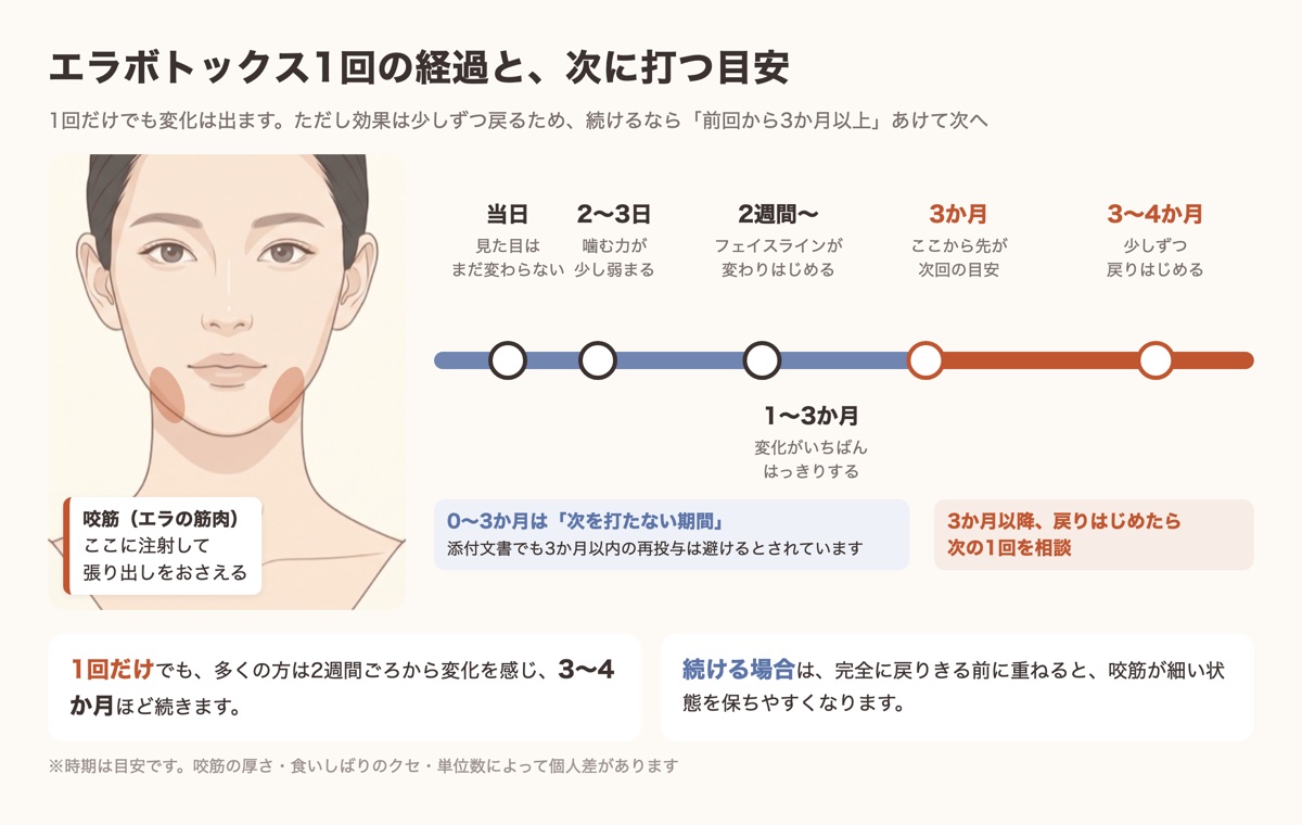 エラボトックス1回の経過と、前回から3か月以上あけて次に打つ目安を示した図