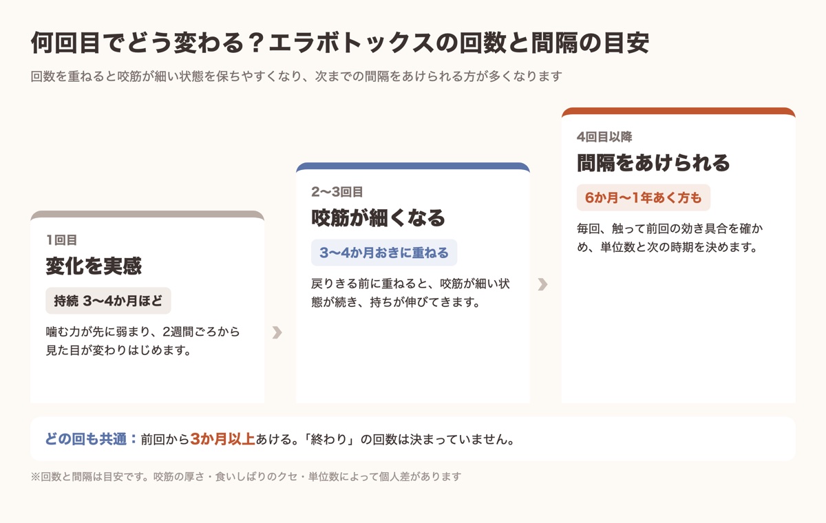 エラボトックスの回数ごとの変化と次までの間隔の目安を示した図