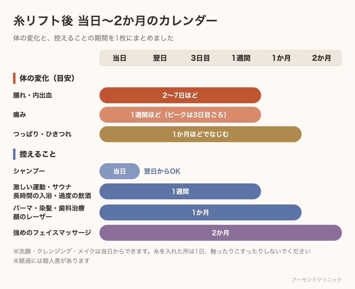 糸リフト後の当日から2か月までのカレンダー。腫れ・内出血、痛み、つっぱりの期間と、シャンプー・運動・歯科治療・マッサージを控える期間を横棒で示した図