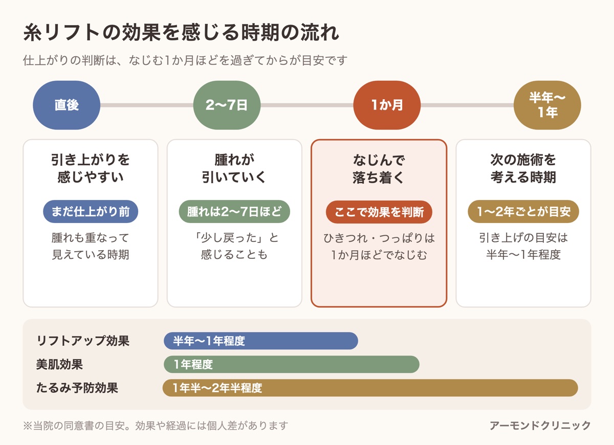 糸リフトの効果を感じる時期の流れ(直後・2〜7日・1か月・半年〜1年)と、リフトアップ・美肌・たるみ予防の3つの効果の目安の期間を示した図