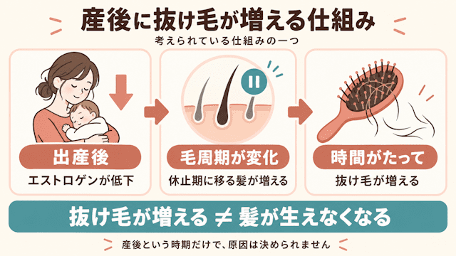 産後に抜け毛が増える仕組み